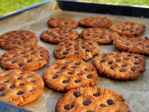 healthy chocolate chip cookies